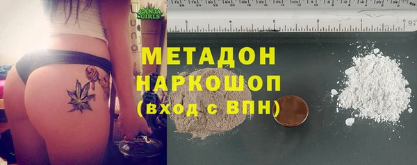 сатива Арсеньев
