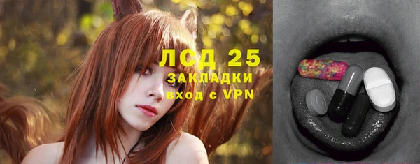 ПСИЛОЦИБИНОВЫЕ ГРИБЫ Аркадак