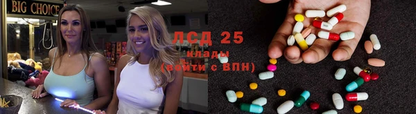 индика Армянск