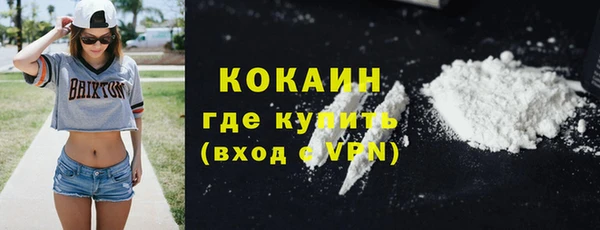 индика Армянск