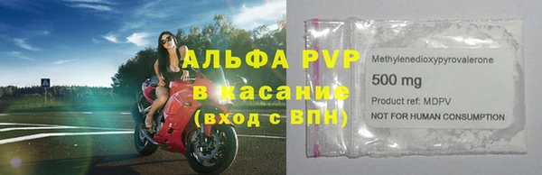 сатива Арсеньев