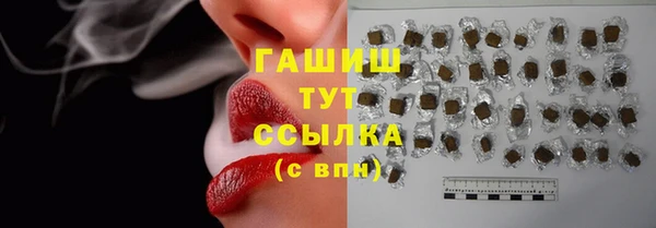 индика Армянск