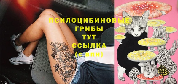 ПСИЛОЦИБИНОВЫЕ ГРИБЫ Аркадак
