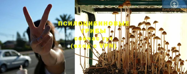 индика Армянск